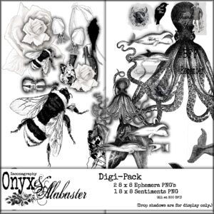 onyxandalabasterdigipackdisplay