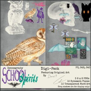 schoolspiritsdigipackdisplay