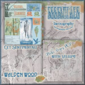 wwsentimentsvellumdisplay