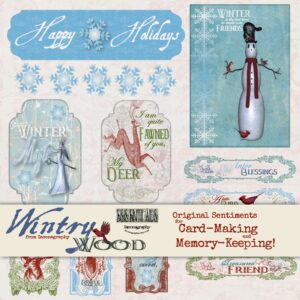 wintrywoodsentimentsdisplay